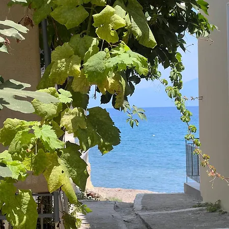 Port House In The Heart Of Holiday home